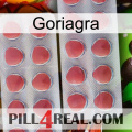 Goriagra 19